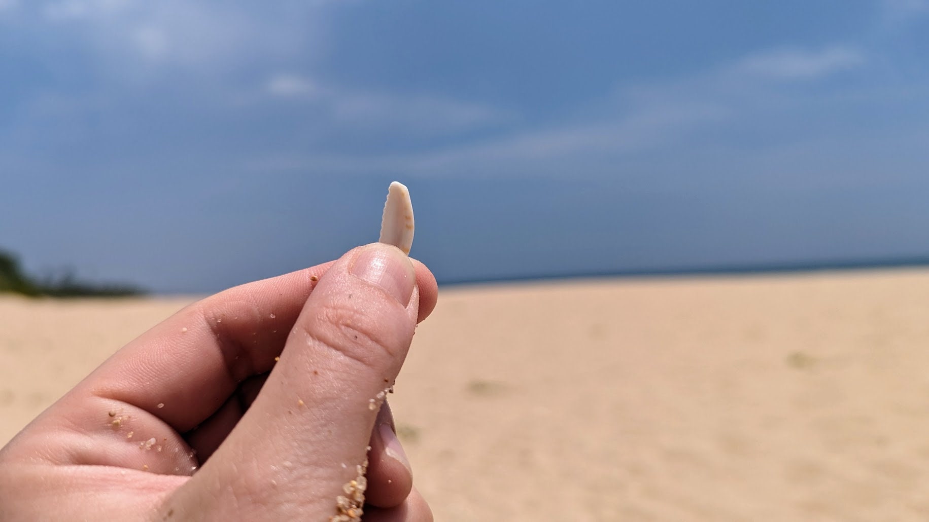 Der Fundort der süßen Kauri-Muschel-Stücke: Sri Lanka, Tangalle Beach