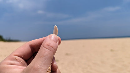 Der Fundort der süßen Kauri-Muschel-Stücke: Sri Lanka, Tangalle Beach
